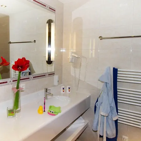 Hotel Oberkarteis 4*